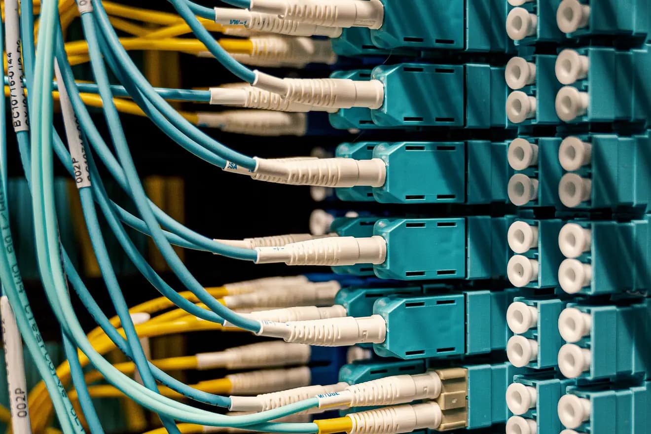 Fibre trunks terminated into an optical distribution frame