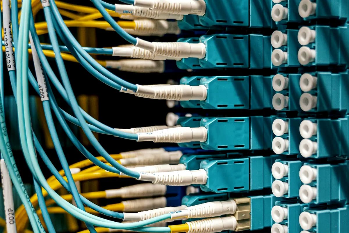 Fibre trunks terminated into an optical distribution frame